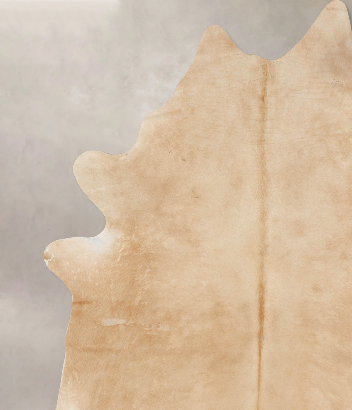 Palomino XX-Large Brazilian Cowhide Rug 8'9"H x 6'11"W #B17556 by Hudson Hides