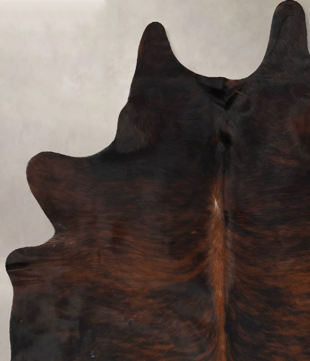 Dark Brindle Large Brazilian Cowhide Rug 6'6"H x 5'2"W #B17562 by Huds