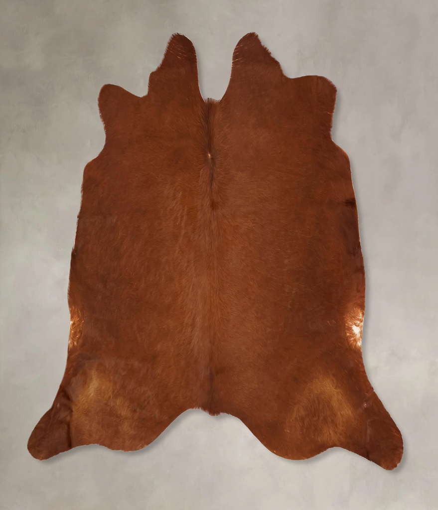 Solid Brown X-Large Brazilian Cowhide Rug 6'0"H x 7'1"W #B17575 by Hudson Hides