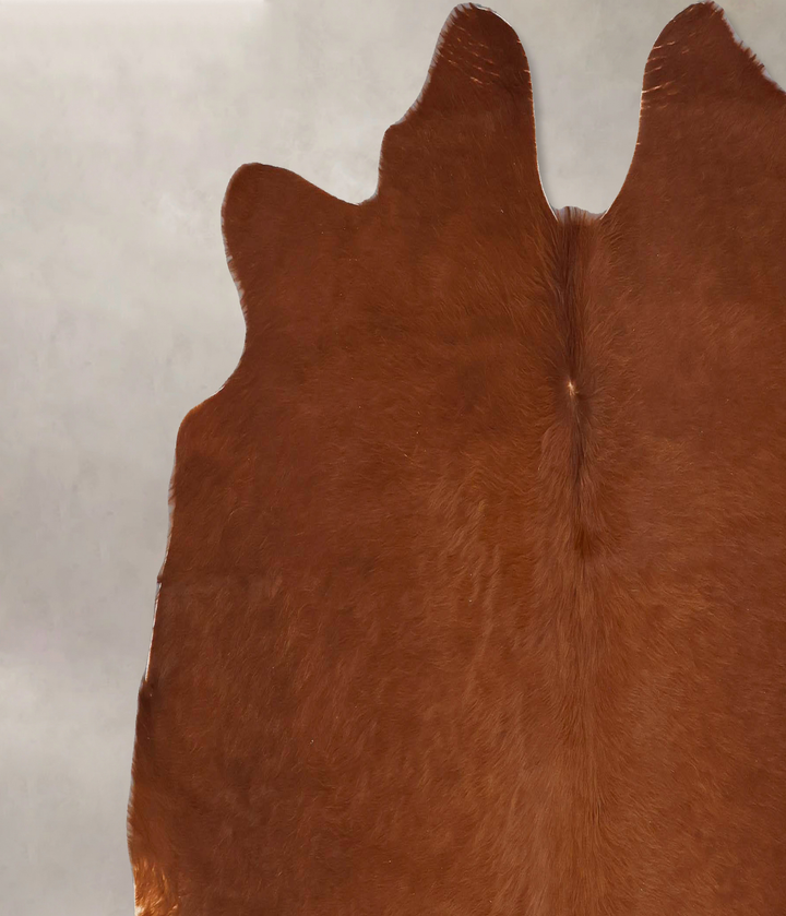 Solid Brown X-Large Brazilian Cowhide Rug 6'0"H x 7'1"W #B17575 by Hudson Hides