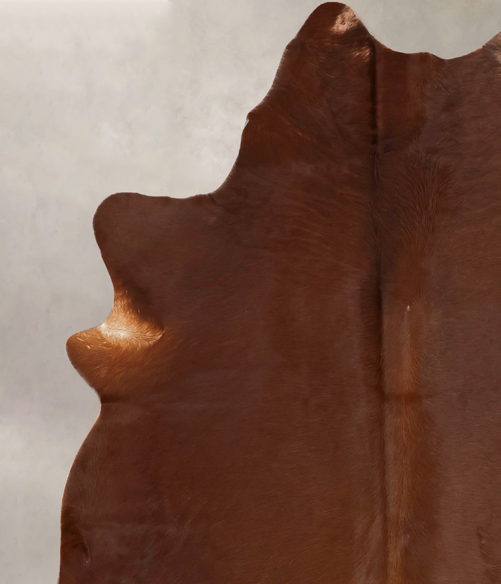 Solid Brown X-Large Brazilian Cowhide Rug 7'4"H x 5'10"W #B17578 by Hudson Hides