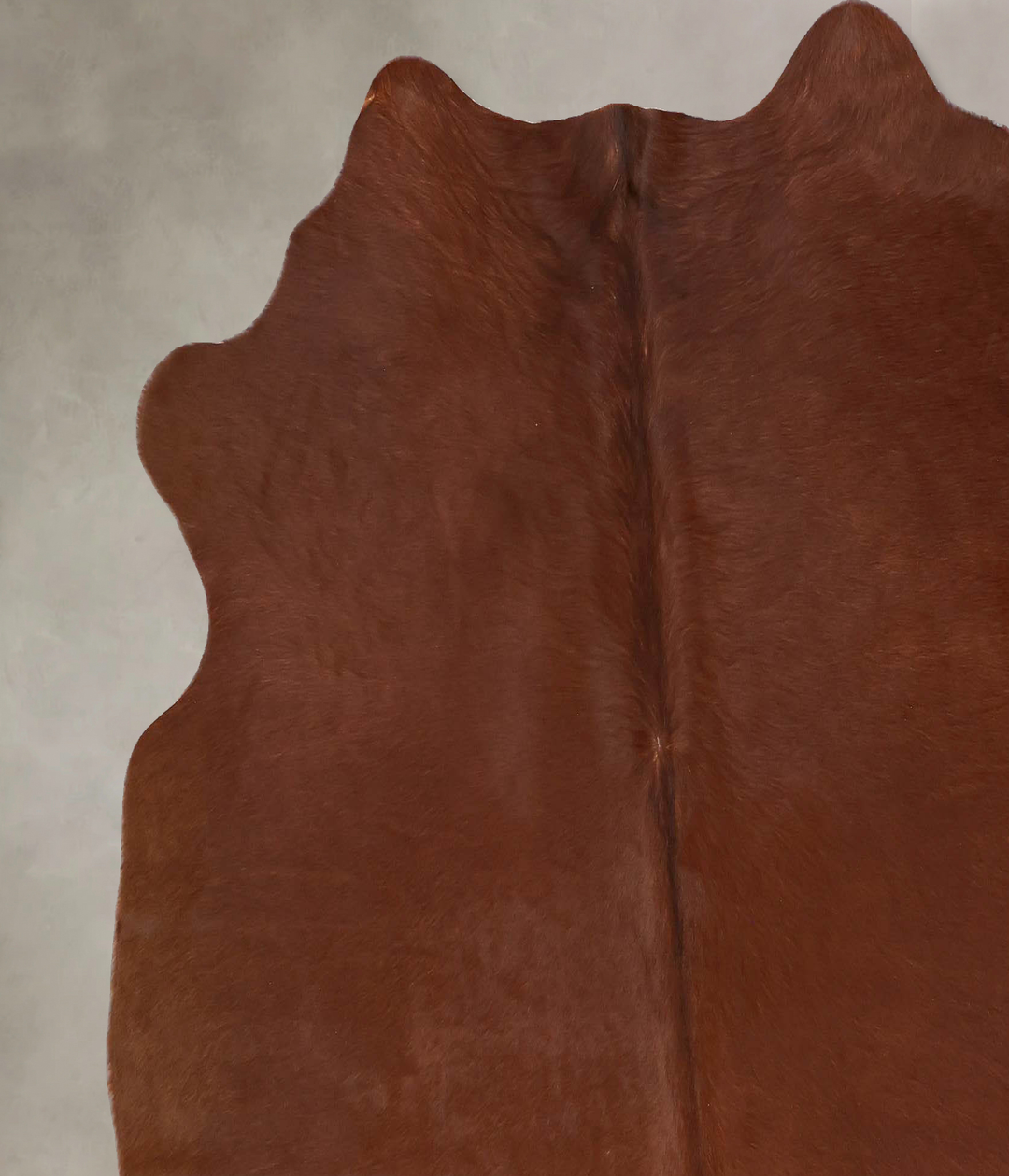 Solid Brown X-Large Brazilian Cowhide Rug 6'4"H x 6'6"W #B17582 by Hud