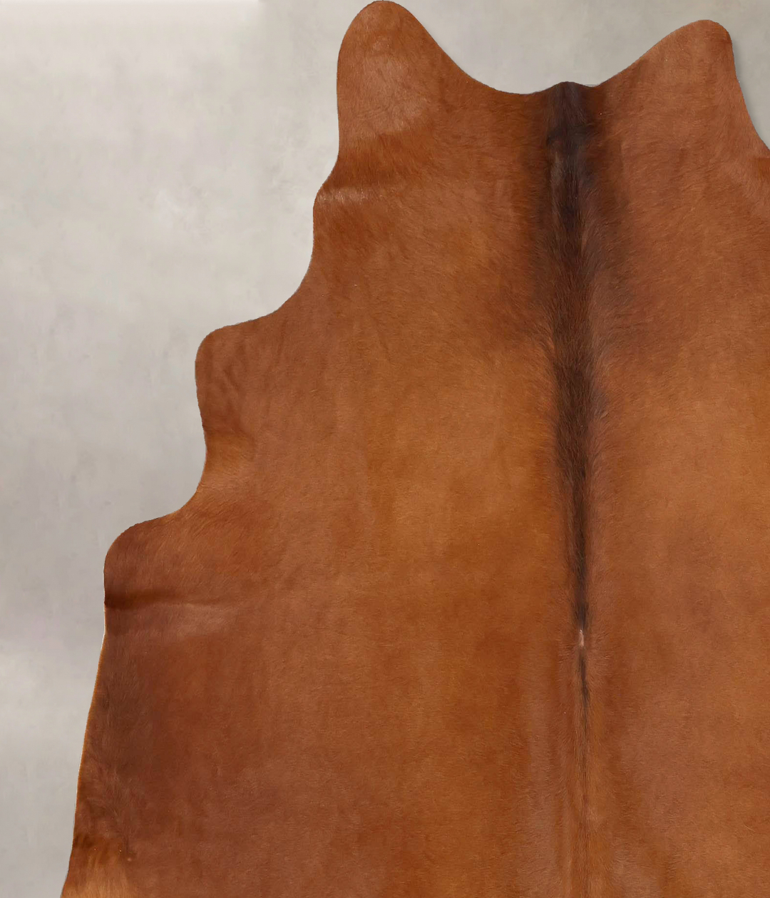 Solid Brown X-Large Brazilian Cowhide Rug 6'9"H x 6'2"W #B17583 by Hud