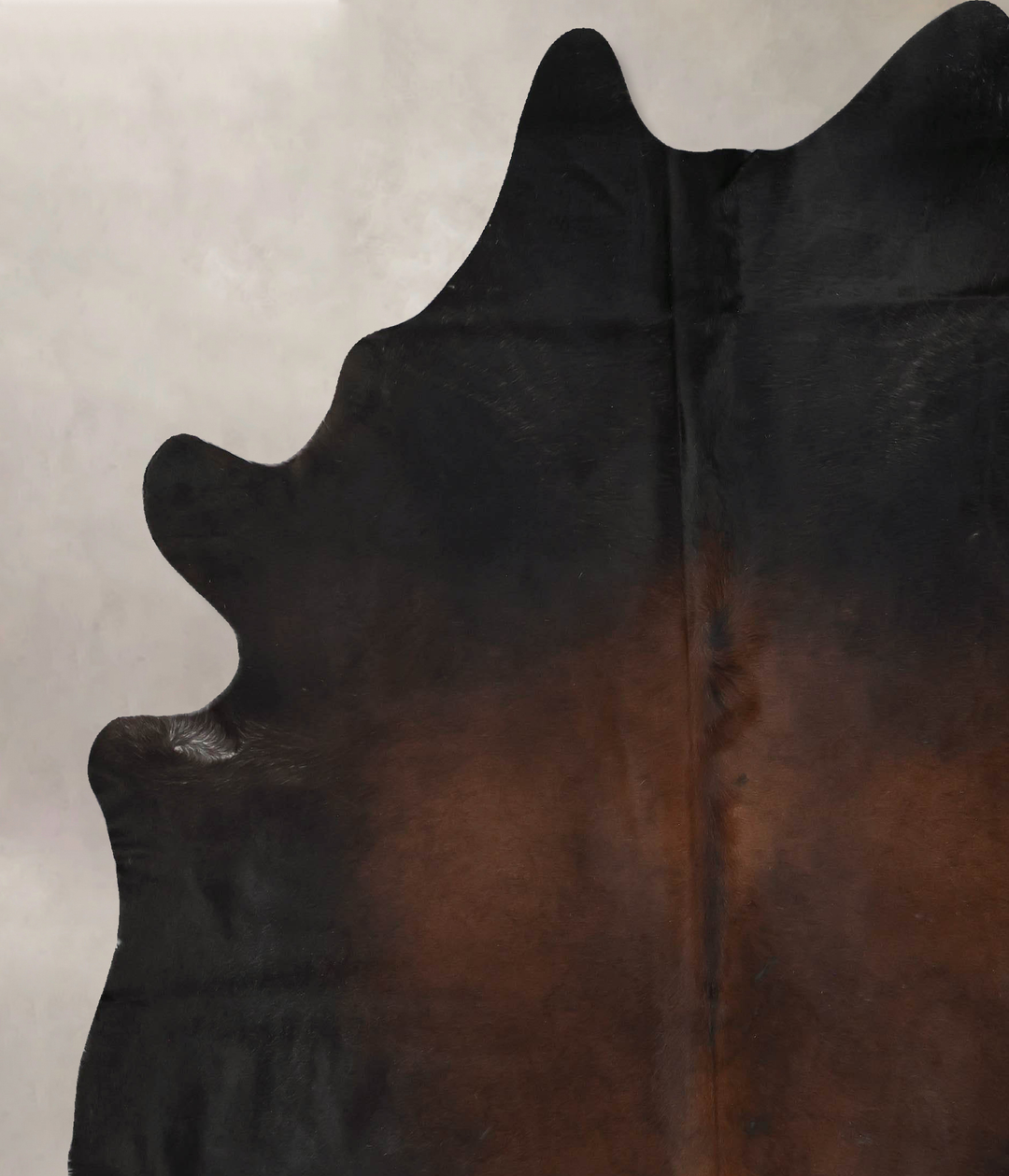 Chocolate XX-Large Brazilian Cowhide Rug 8'10"H x 7'4"W #B17590 by Hud