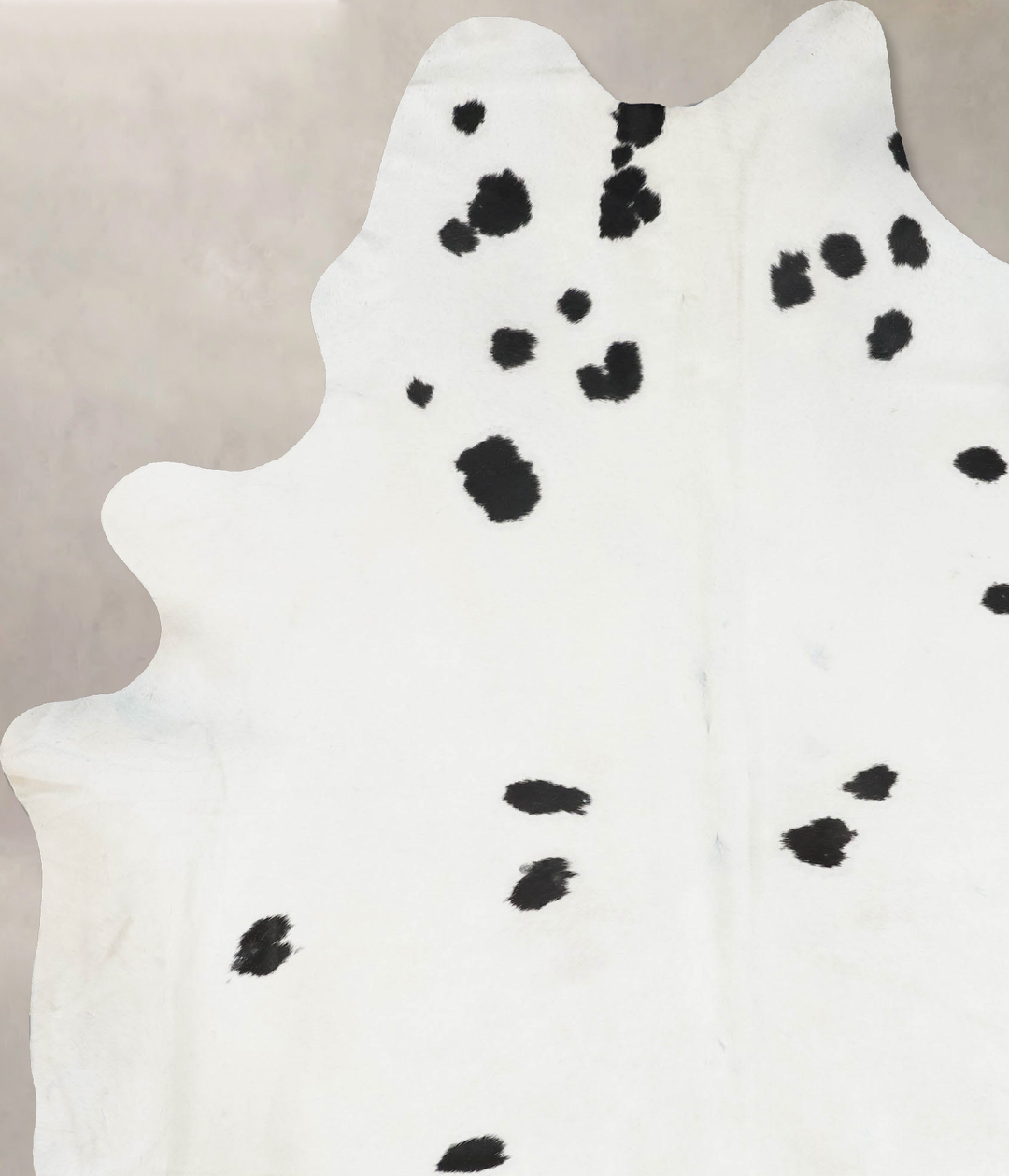 Black and White XX-Large Brazilian Cowhide Rug 8'10"H x 6'8"W #B17593 