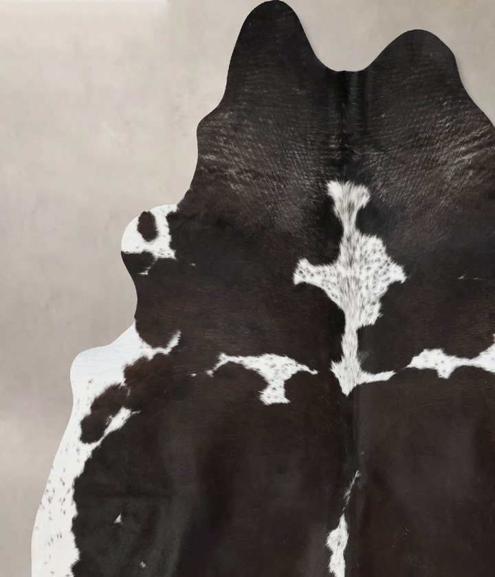 Chocolate and White XX-Large Brazilian Cowhide Rug 8'3"H x 7'0"W #B17612 by Hudson Hides