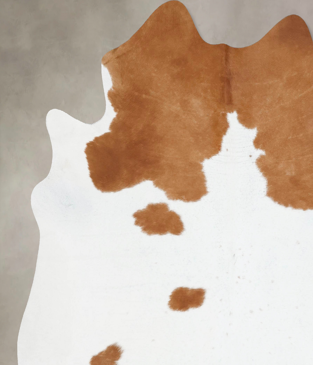 Brown and White XX-Large Brazilian Cowhide Rug 7'11"H x 7'1"W #B17616 