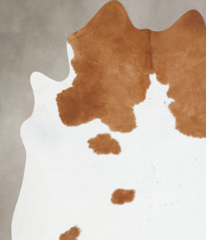 Brown and White XX-Large Brazilian Cowhide Rug 7'11"H x 7'1"W #B17616 by Hudson Hides