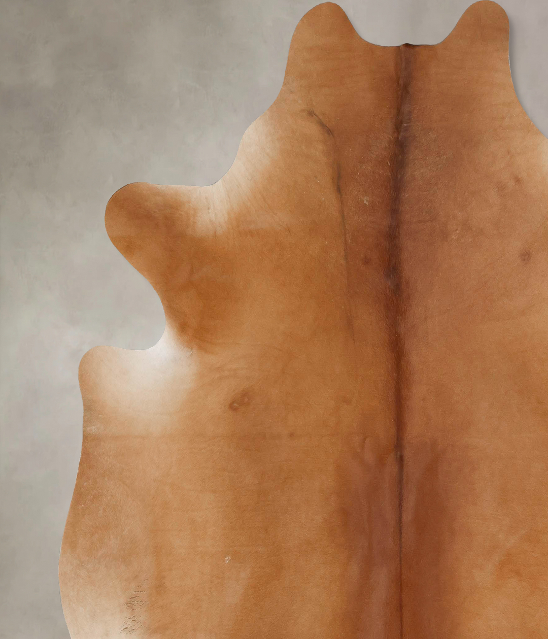 Solid Brown XX-Large Brazilian Cowhide Rug 7'11"H x 6'11"W #B17623 by 