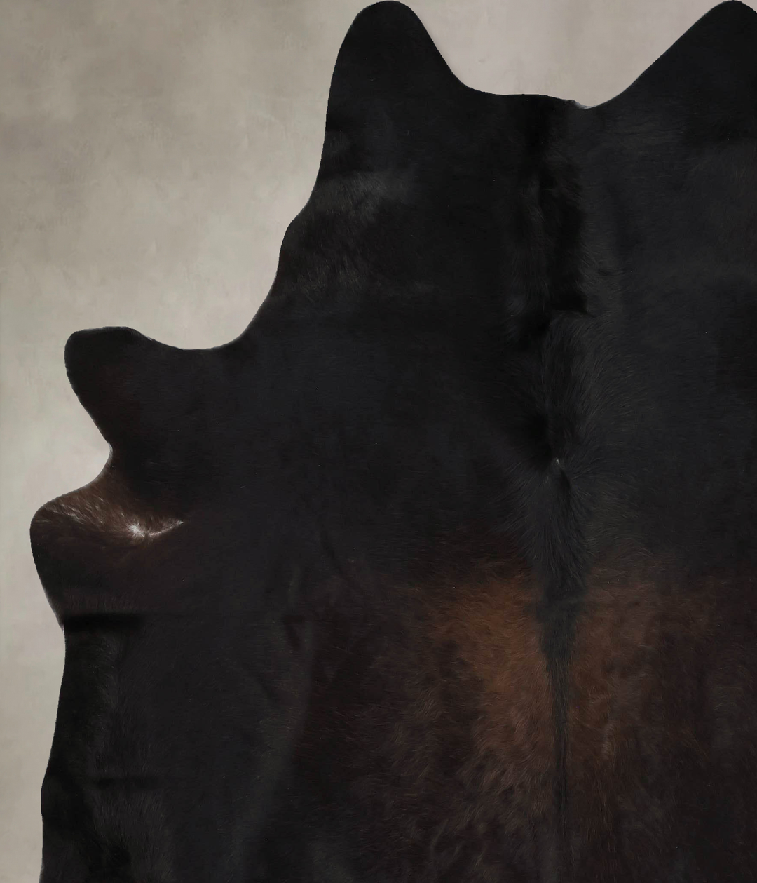 Chocolate XX-Large Brazilian Cowhide Rug 8'4"H x 6'11"W #B17628 by Hud