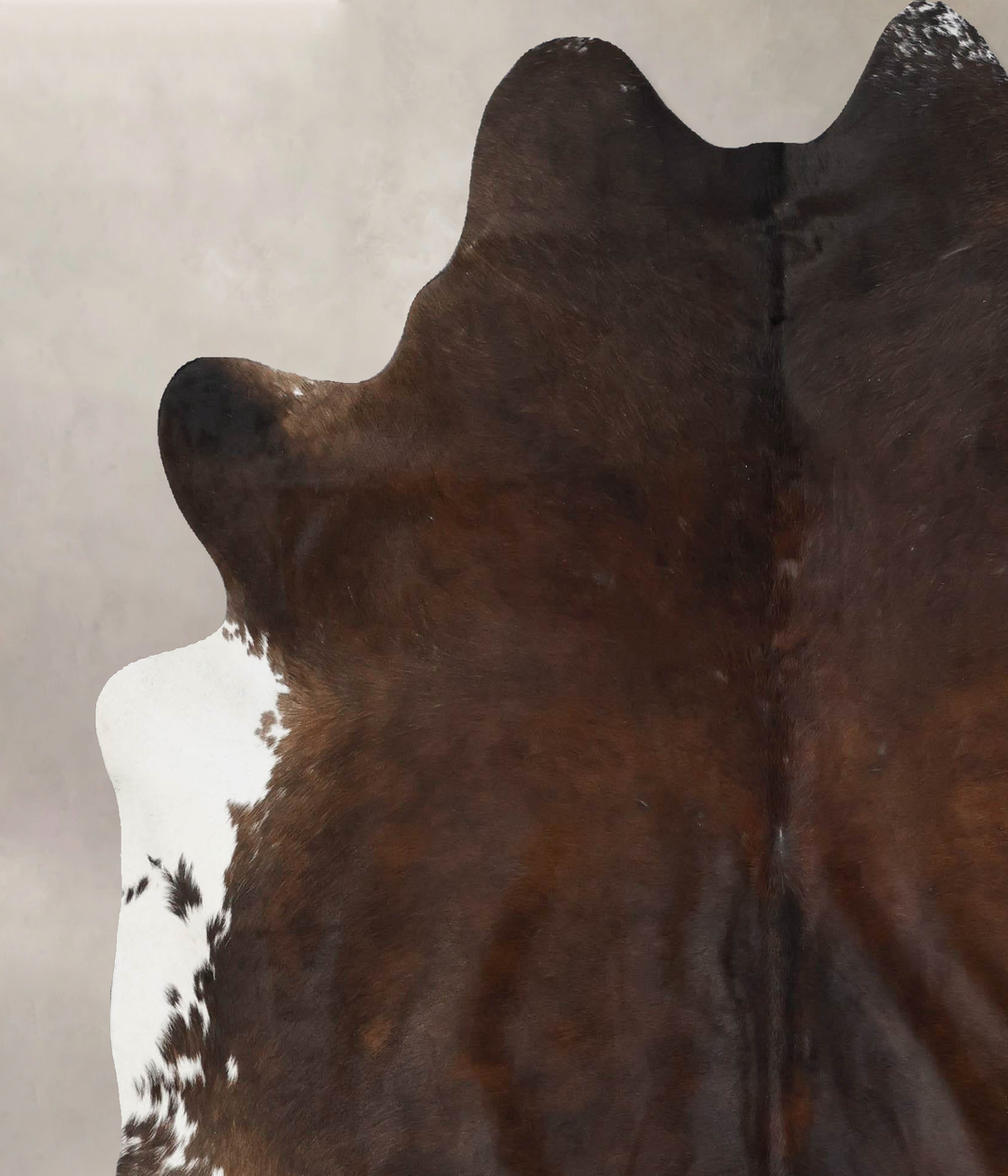 Chocolate X-Large Brazilian Cowhide Rug 7'3"H x 6'6"W #B17631 by Hudso