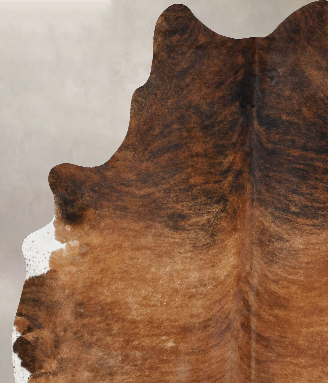 Medium Brindle XX-Large Brazilian Cowhide Rug 8'4"H x 7'0"W #B17642 by