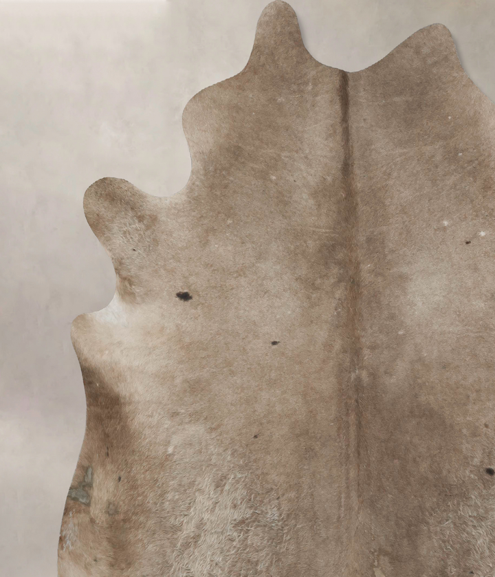 Taupe XX-Large Brazilian Cowhide Rug 7'6"H x 7'2"W #B17654 by Hudson Hides