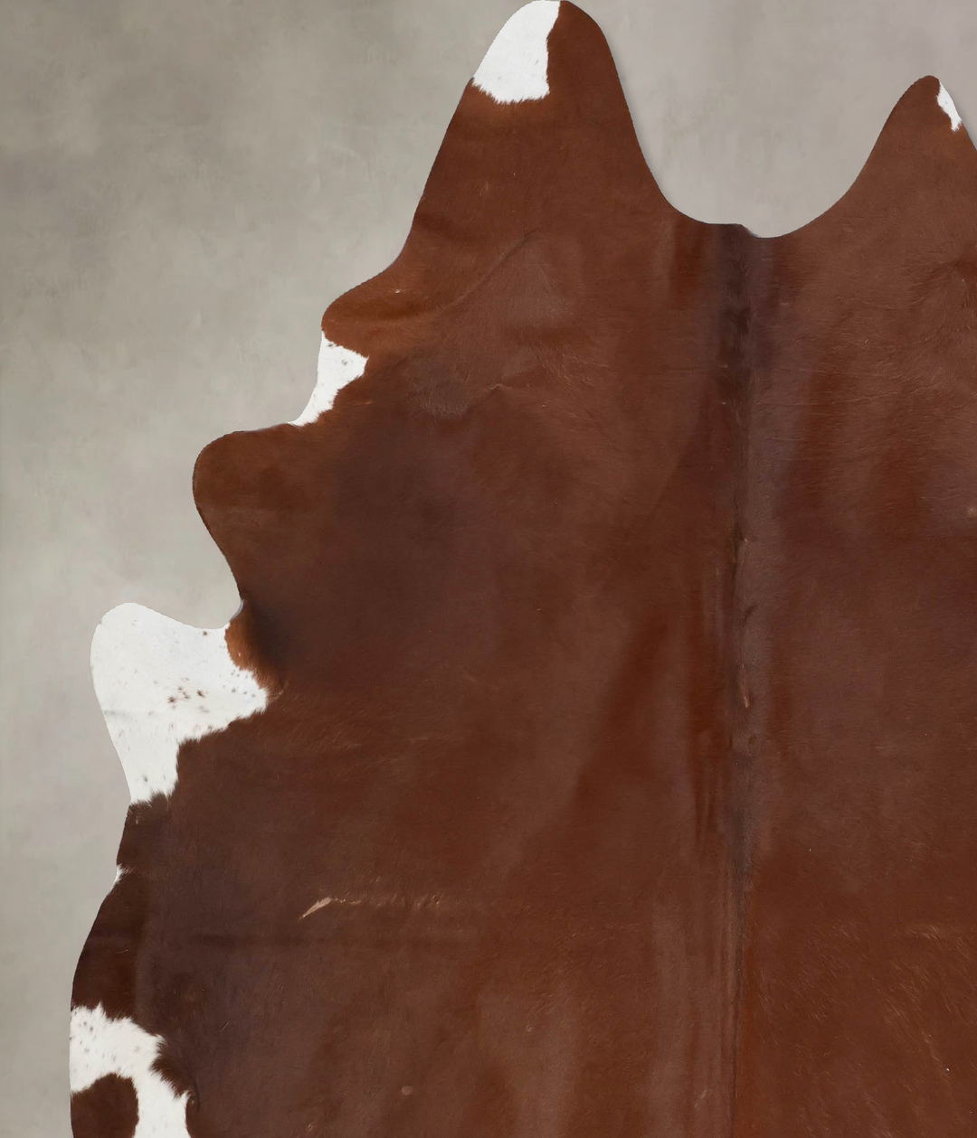 Solid Brown XX-Large Brazilian Cowhide Rug 8'2"H x 6'9"W #B17660 by Hu