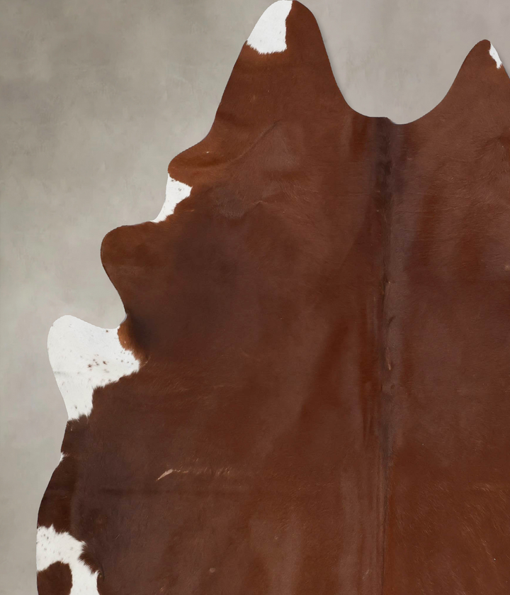 Solid Brown XX-Large Brazilian Cowhide Rug 8'2"H x 6'9"W #B17660 by Hudson Hides