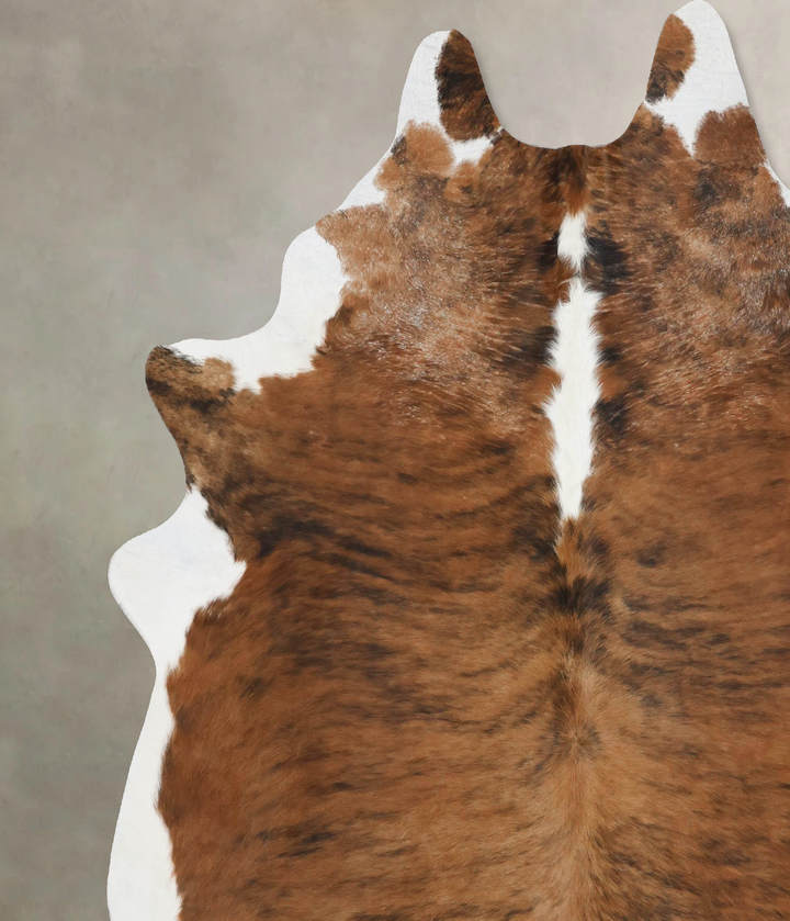 Tricolor XX-Large Brazilian Cowhide Rug 8'10"H x 7'5"W #B17669 by Hudson Hides
