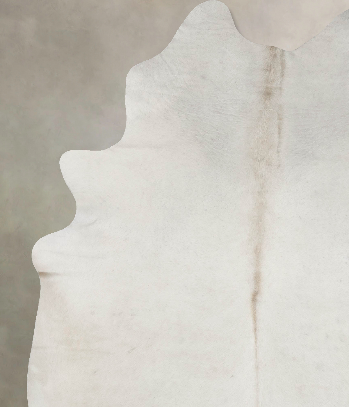 Ivory with Beige XX-Large Brazilian Cowhide Rug 7'11"H x 6'9"W #B17677 by Hudson Hides