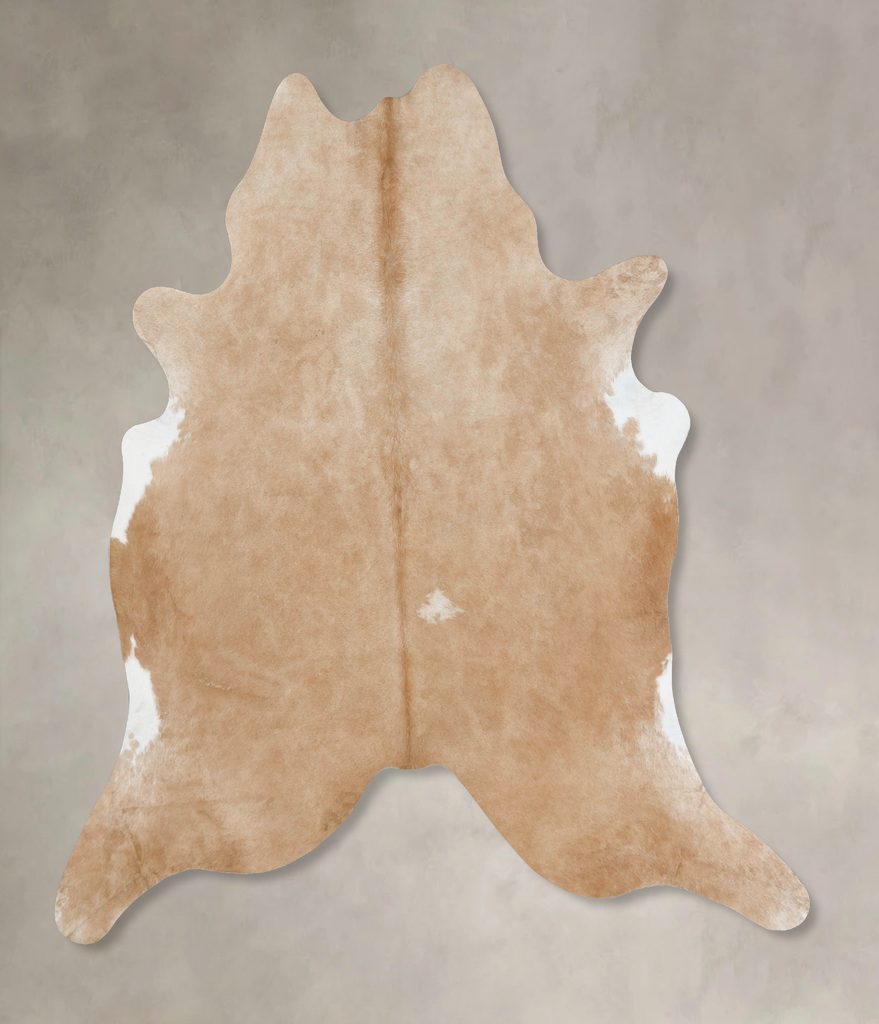 Palomino XX-Large Brazilian Cowhide Rug 7'9"H x 7'4"W #B17679 by Hudson Hides