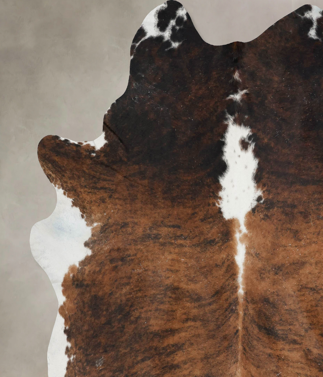 Tricolor XX-Large Brazilian Cowhide Rug 8'11"H x 7'3"W #B17681 by Huds
