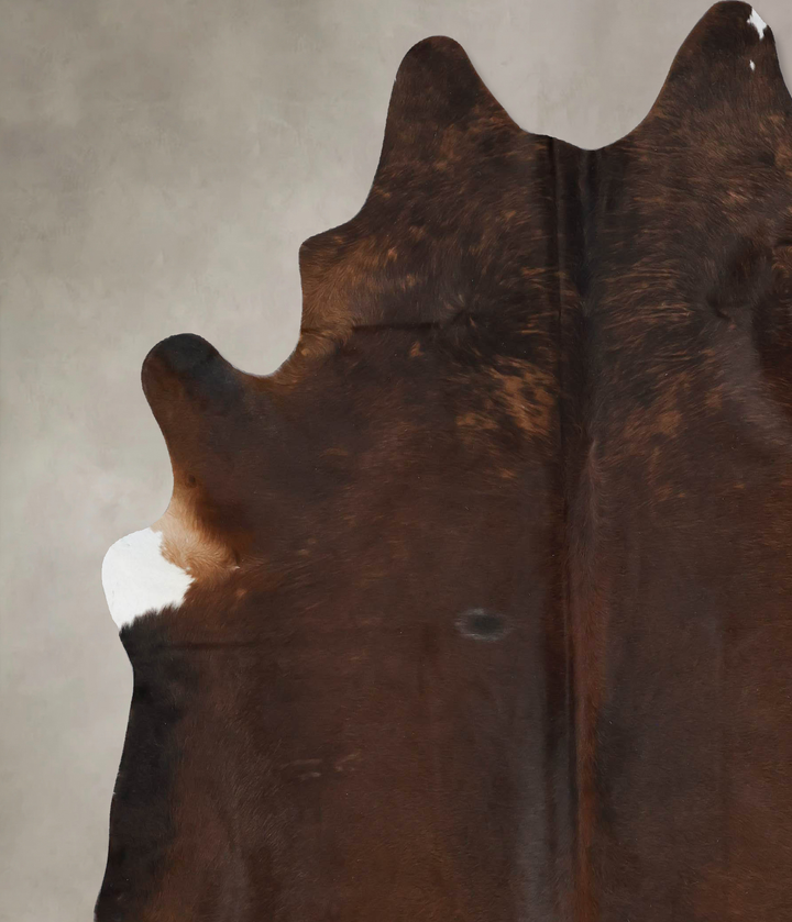 Chocolate XX-Large Brazilian Cowhide Rug 8'0"H x 7'0"W #B17682 by Hudson Hides