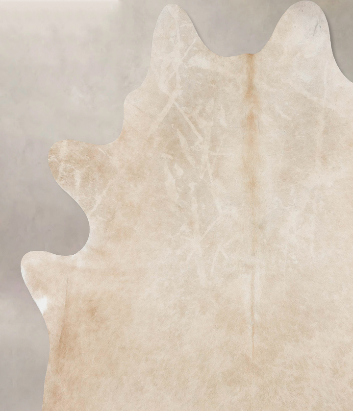 Palomino XX-Large Brazilian Cowhide Rug 7'8"H x 6'7"W #B17683 by Hudson Hides