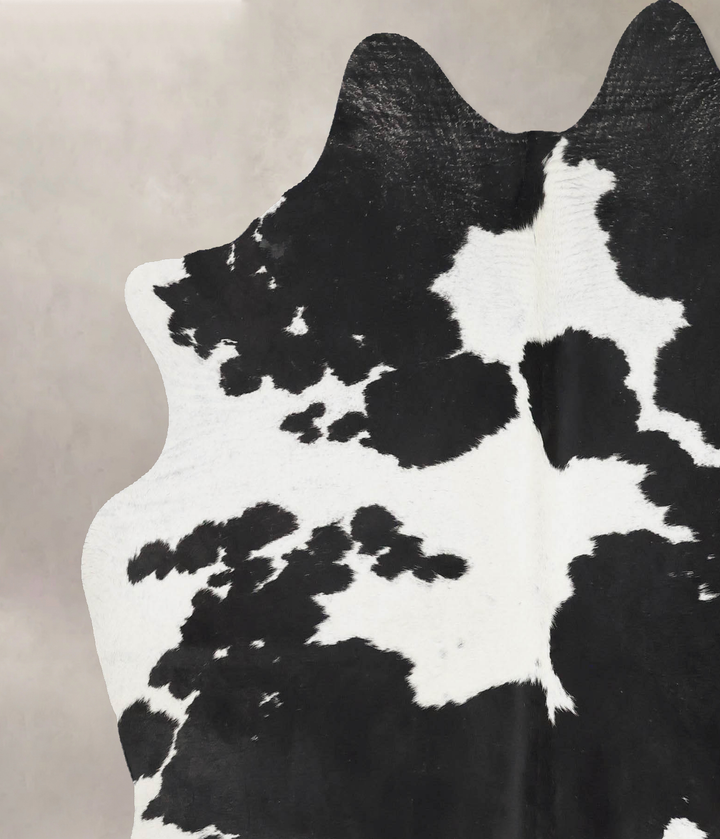Black and White Large Brazilian Cowhide Rug 6'5"H x 6'1"W #B17688 by Hudson Hides