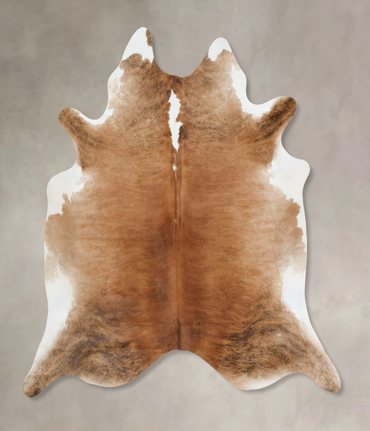 Medium Brindle XX-Large Brazilian Cowhide Rug 7'7"H x 7'3"W #B17700 by Hudson Hides