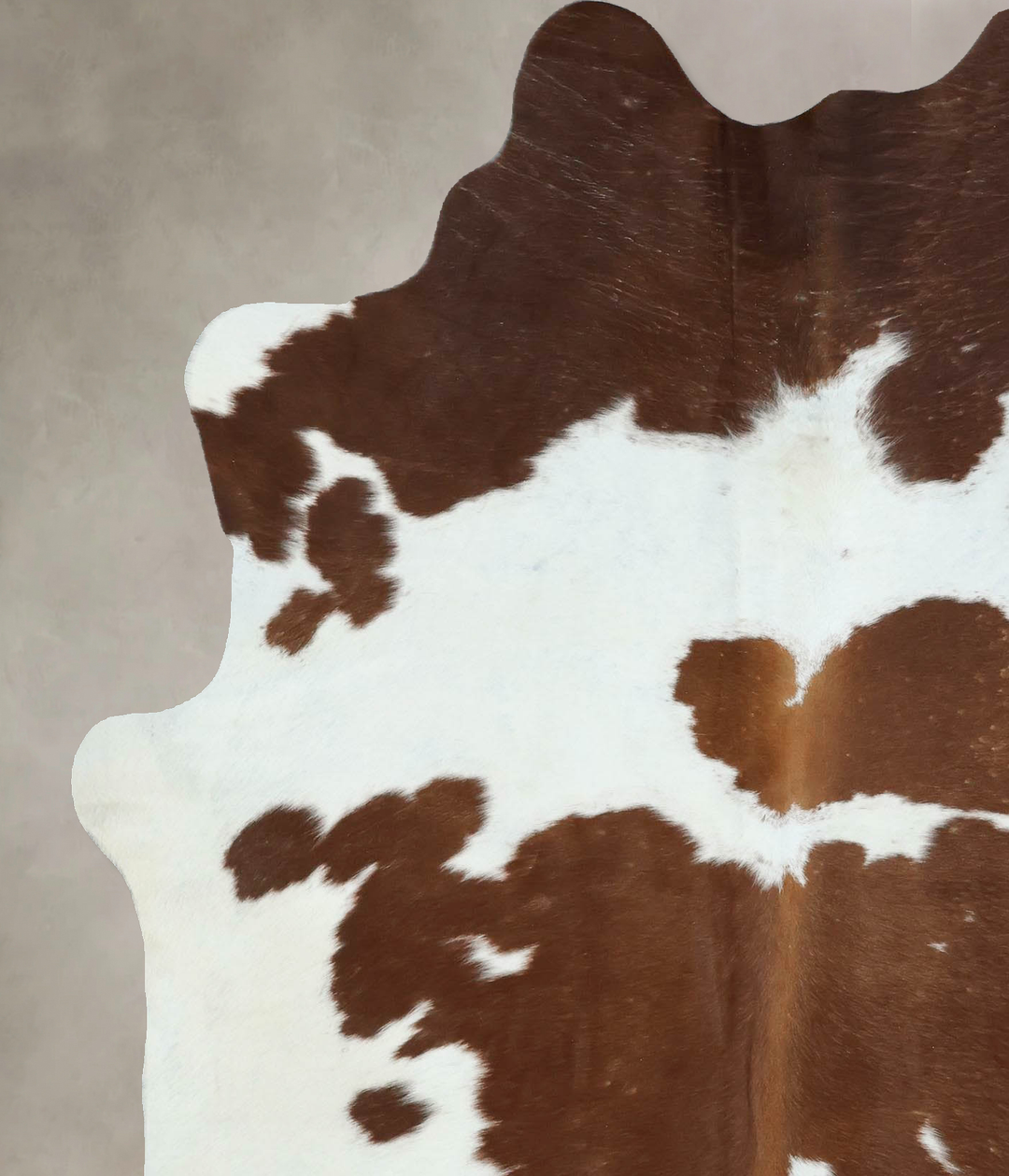 Brown and White Large Brazilian Cowhide Rug 7'0"H x 5'6"W #B17709 by H