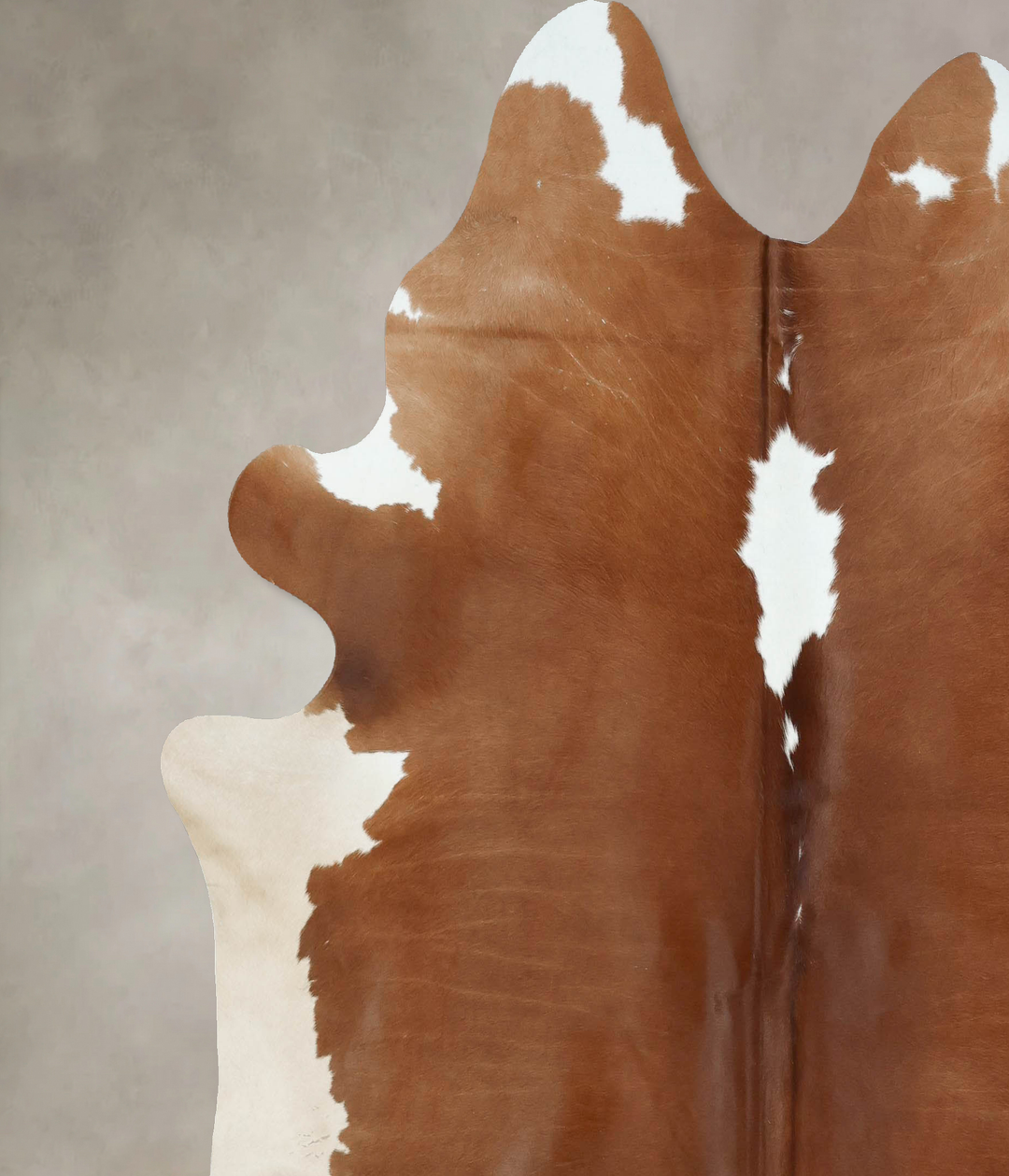 Brown and White Regular XX-Large Brazilian Cowhide Rug 7'8"H x 7'3"W #