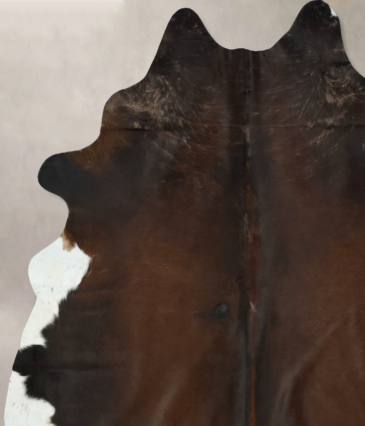 Chocolate and White XX-Large Brazilian Cowhide Rug 8'5"H x 7'1"W #B17728 by Hudson Hides