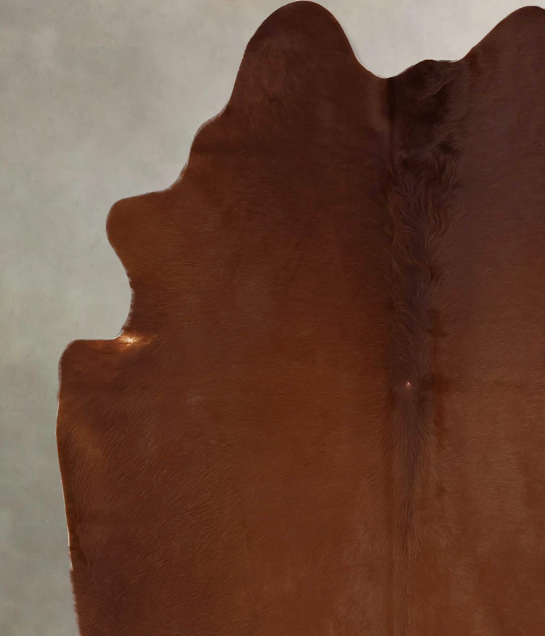 Solid Brown X-Large Brazilian Cowhide Rug 7'5"H x 5'11"W #B17745 by Hu