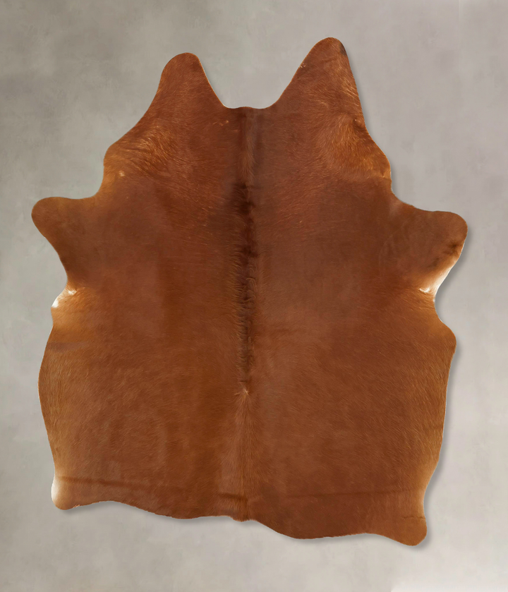 Solid Brown Large Brazilian Cowhide Rug 6'9"H x 5'6"W #B17747 by Hudson Hides