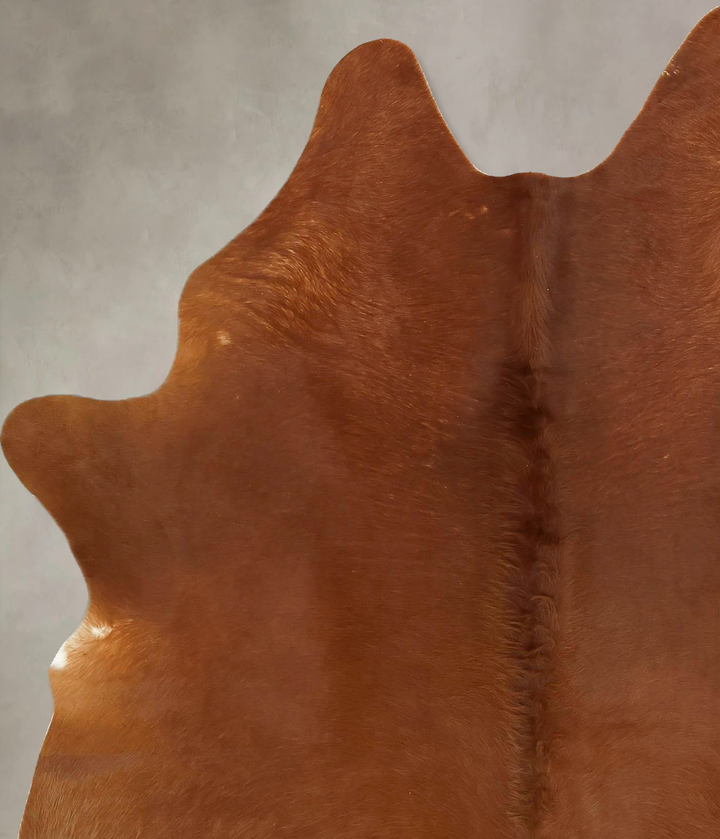 Solid Brown Large Brazilian Cowhide Rug 6'9"H x 5'6"W #B17747 by Hudson Hides