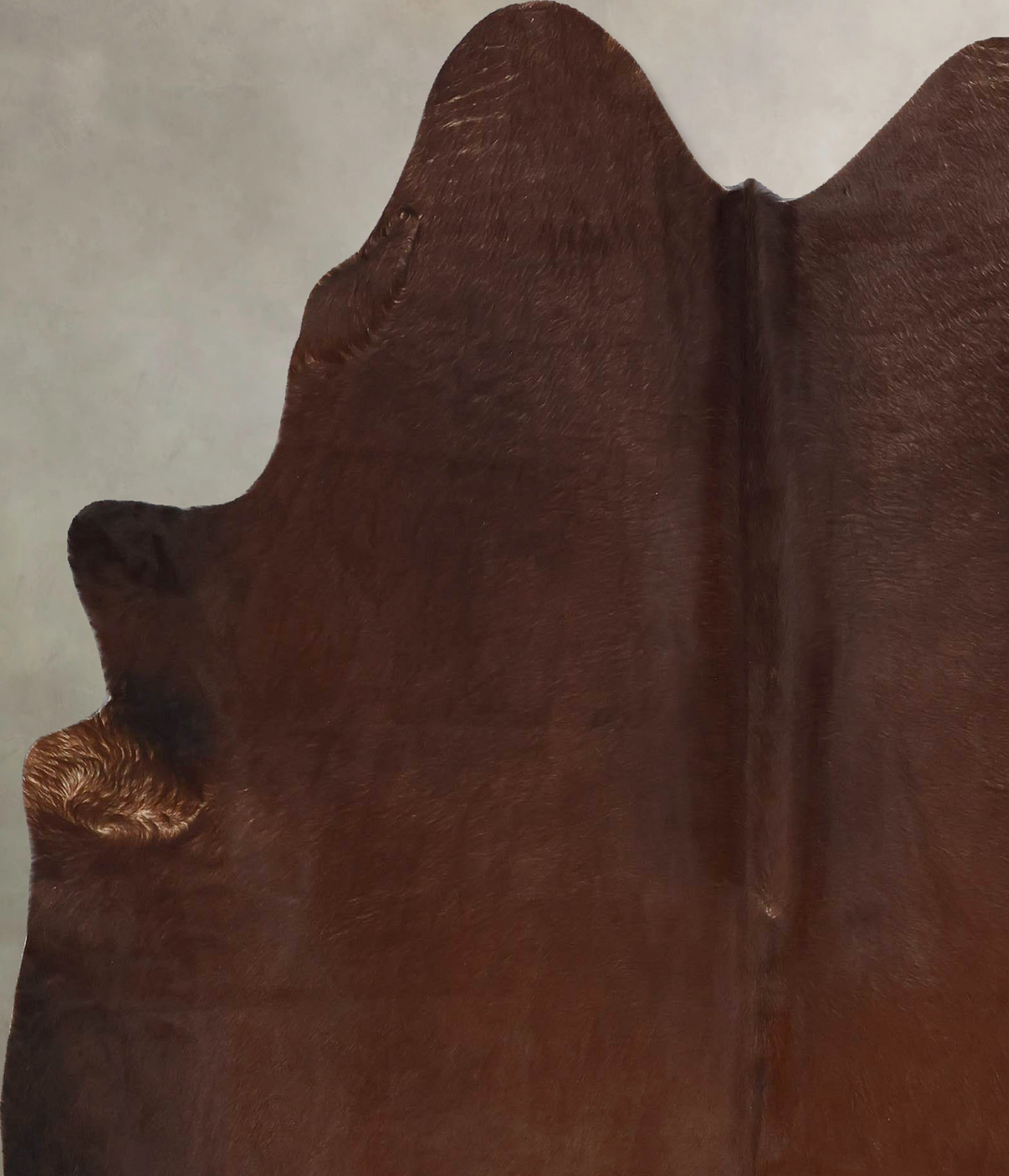 Solid Brown X-Large Brazilian Cowhide Rug 6'9"H x 6'2"W #B17749 by Hud