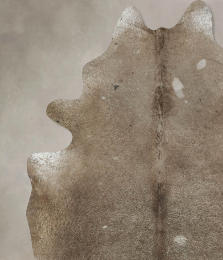 Taupe XX-Large Brazilian Cowhide Rug 8'3"H x 6'2"W #B17758 by Hudson Hides