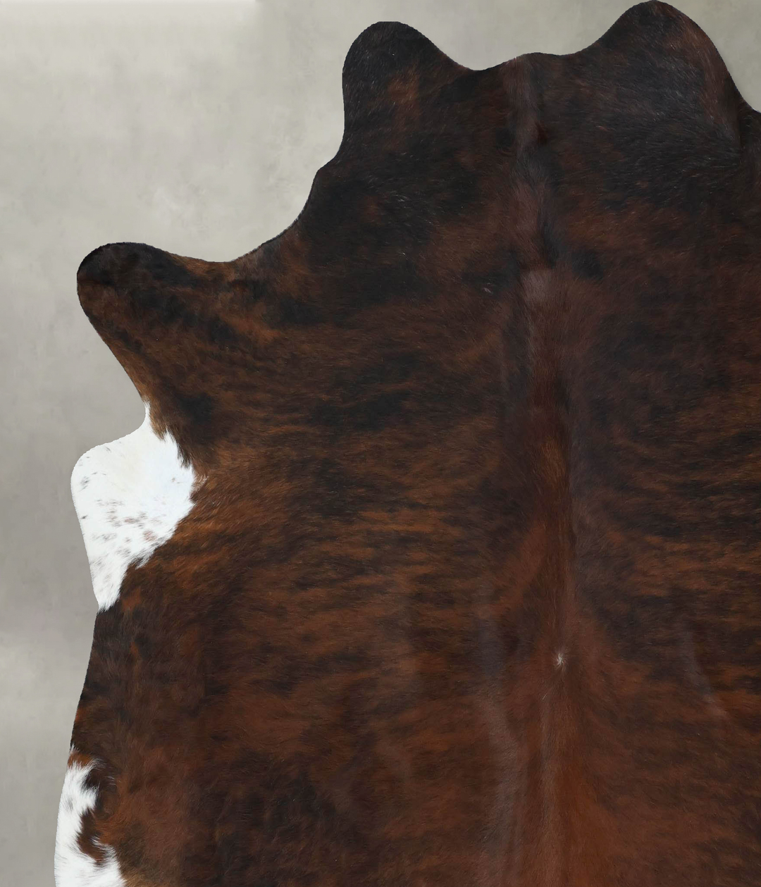 Dark Brindle XX-Large Brazilian Cowhide Rug 7'7"H x 6'11"W #B17779 by 