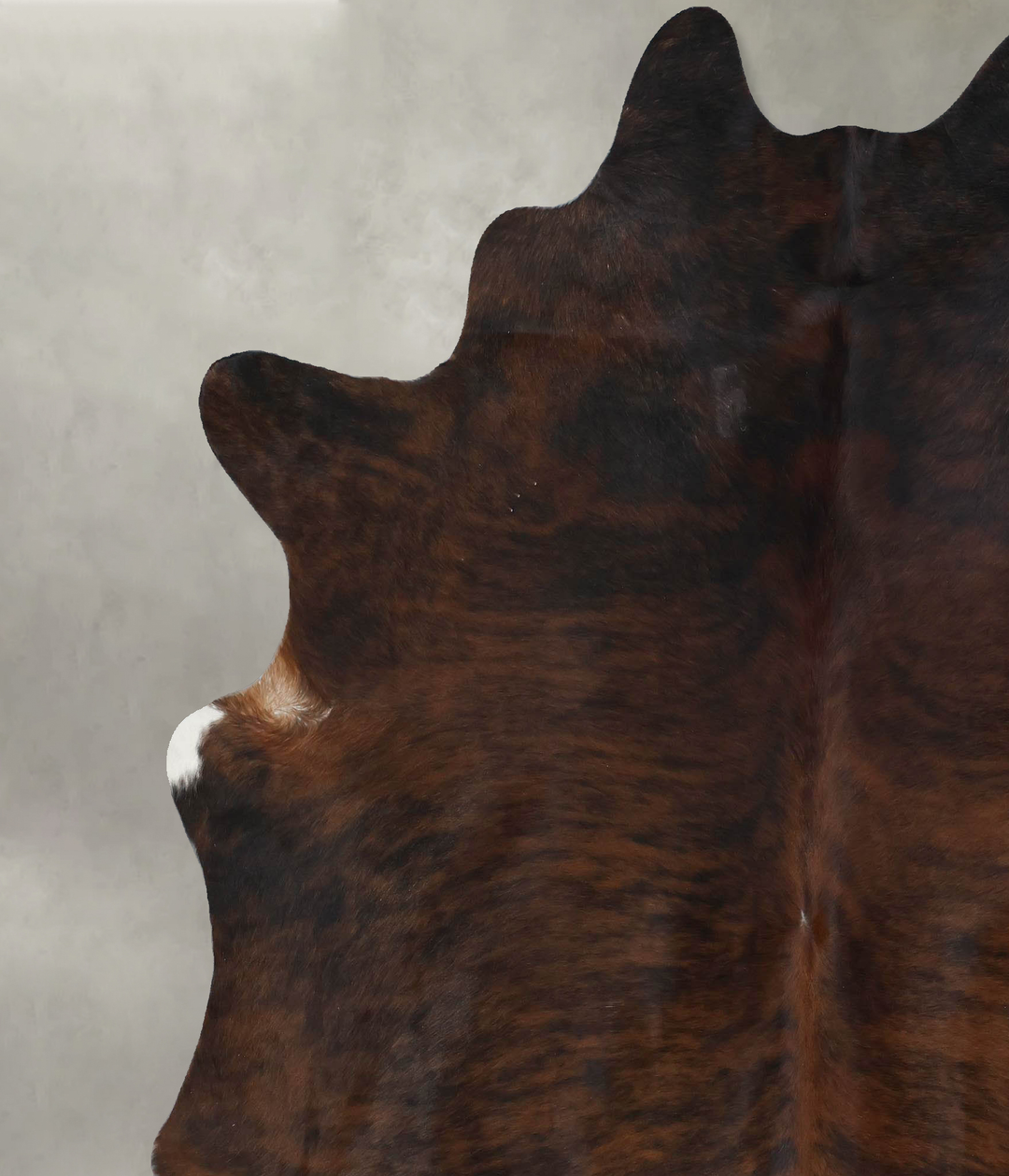 Dark Brindle XX-Large Brazilian Cowhide Rug 8'0"H x 6'8"W #B17781 by H