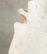 Salt and Pepper Brown XX-Large Brazilian Cowhide Rug 7'5"H x 6'9"W #B1782 by Hudson Hides