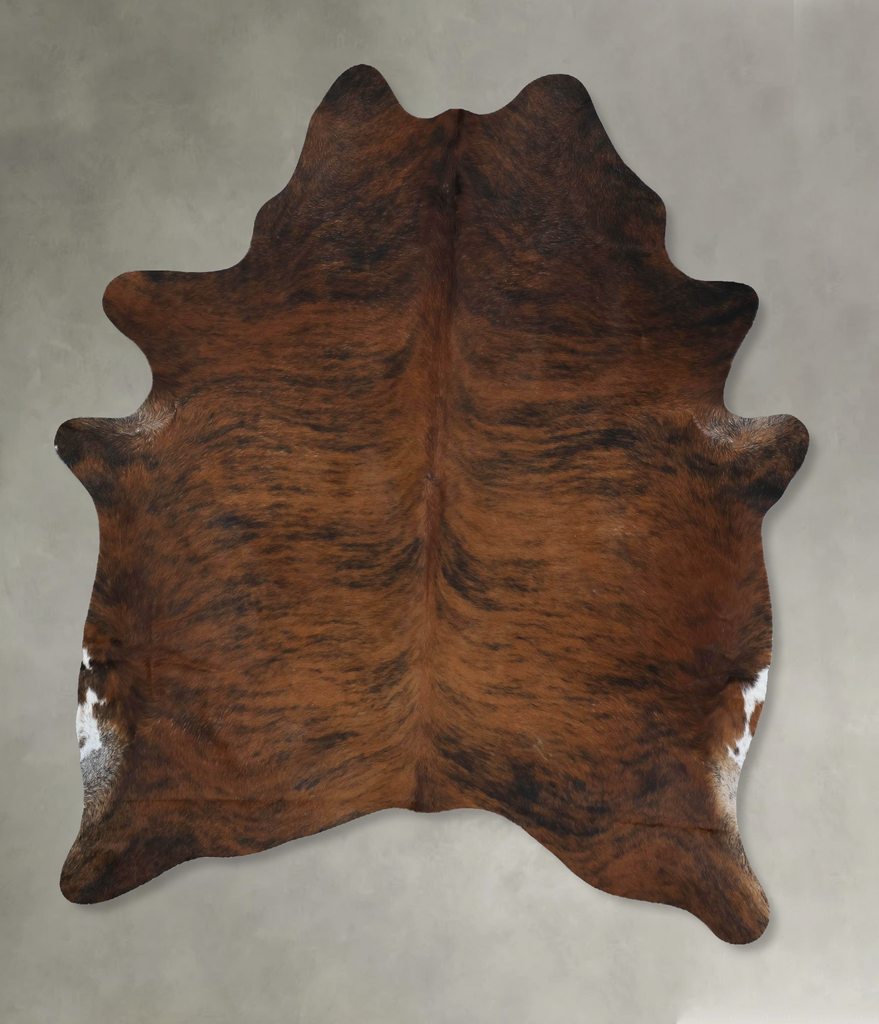 Medium Brindle X-Large Brazilian Cowhide Rug 7'7"H x 5'9"W #B17822 by Hudson Hides