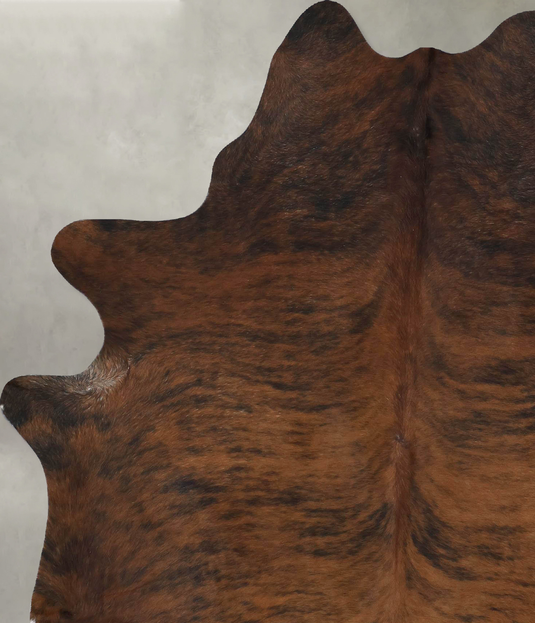 Medium Brindle X-Large Brazilian Cowhide Rug 7'7"H x 5'9"W #B17822 by 