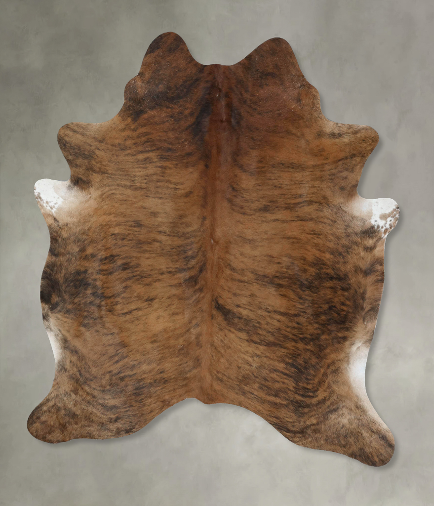 Medium Brindle X-Large Brazilian Cowhide Rug 7'0"H x 5'9"W #B17826 by Hudson Hides