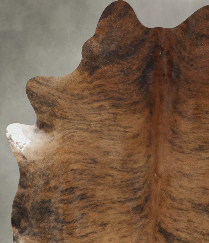 Medium Brindle X-Large Brazilian Cowhide Rug 7'0"H x 5'9"W #B17826 by Hudson Hides