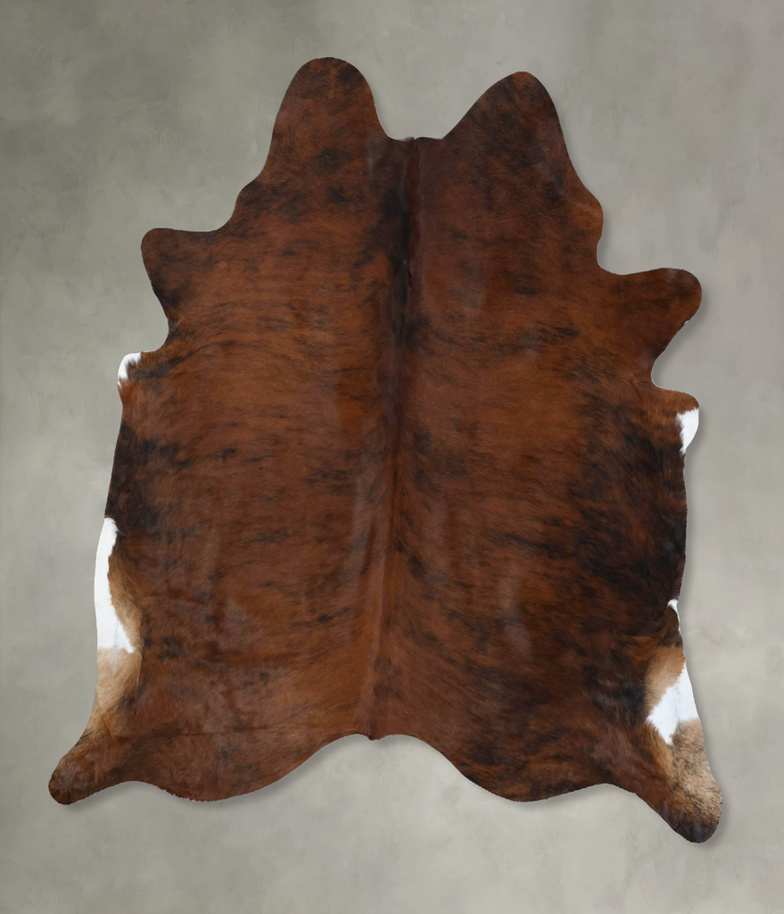 Medium Brindle X-Large Brazilian Cowhide Rug 6'6"H x 6'2"W #B17827 by Hudson Hides