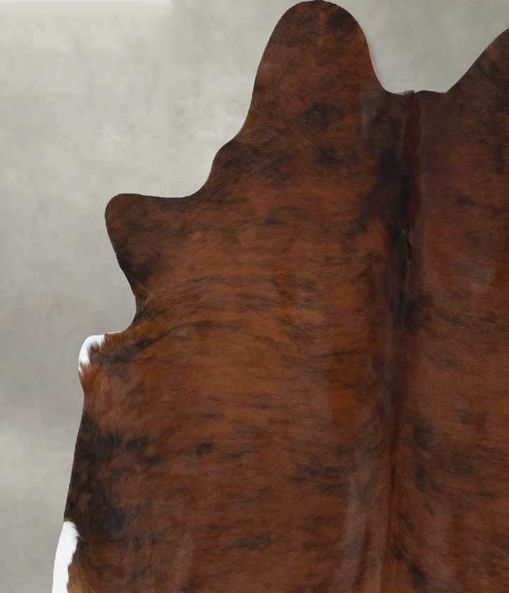 Medium Brindle X-Large Brazilian Cowhide Rug 6'6"H x 6'2"W #B17827 by Hudson Hides
