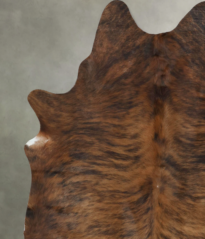 Medium Brindle X-Large Brazilian Cowhide Rug 7'6"H x 5'10"W #B17829 by Hudson Hides