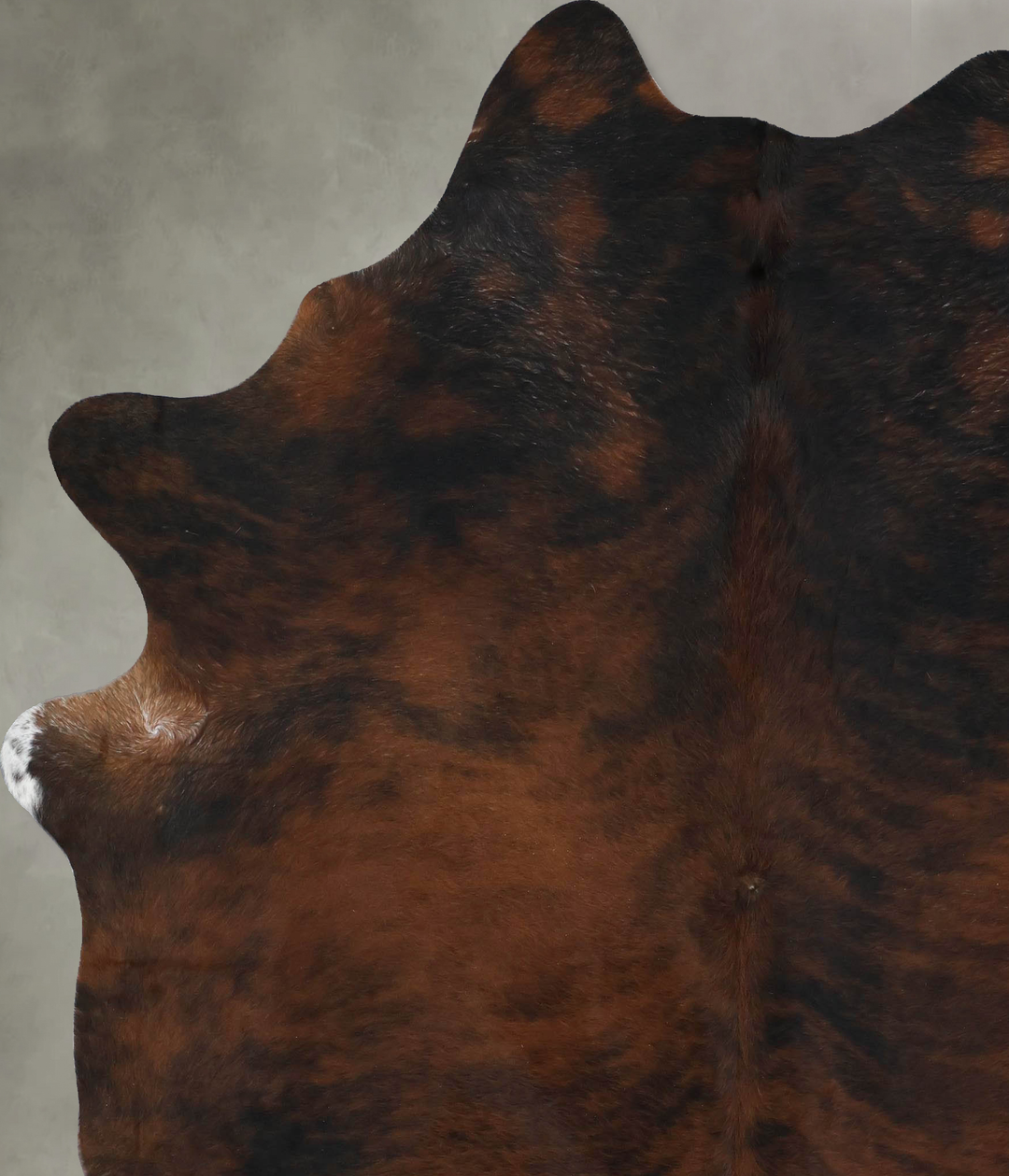 Dark Brindle XX-Large Brazilian Cowhide Rug 8'2"H x 6'11"W #B17839 by 