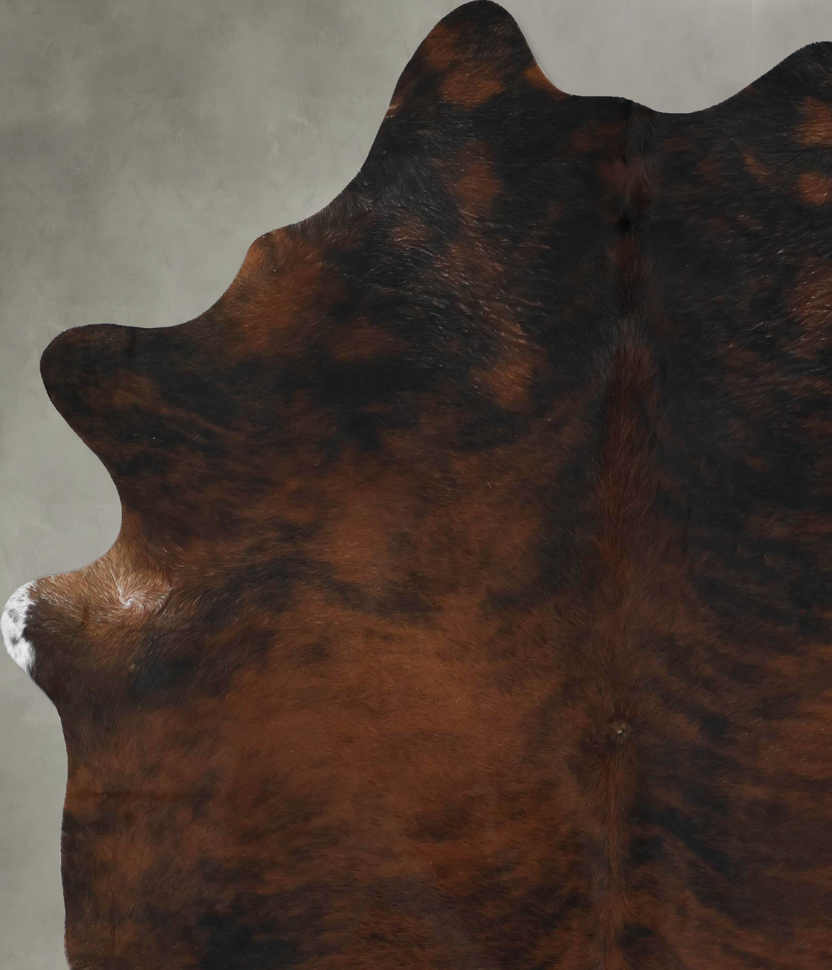 Dark Brindle XX-Large Brazilian Cowhide Rug 8'2"H x 6'11"W #B17839 by Hudson Hides