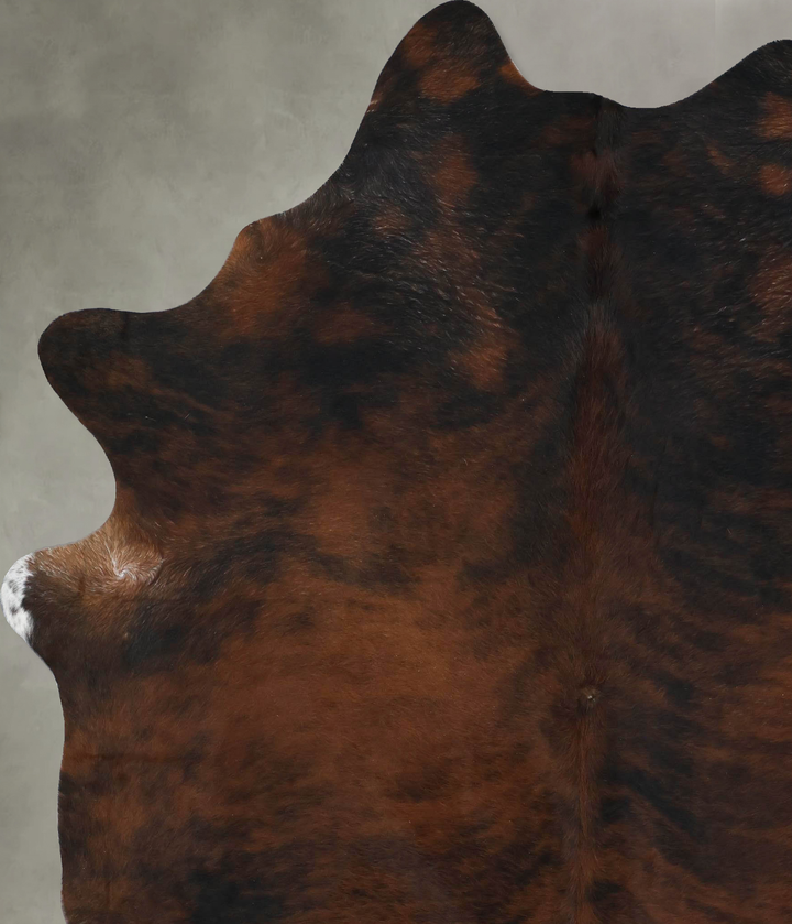 Dark Brindle XX-Large Brazilian Cowhide Rug 8'2"H x 6'11"W #B17839 by Hudson Hides