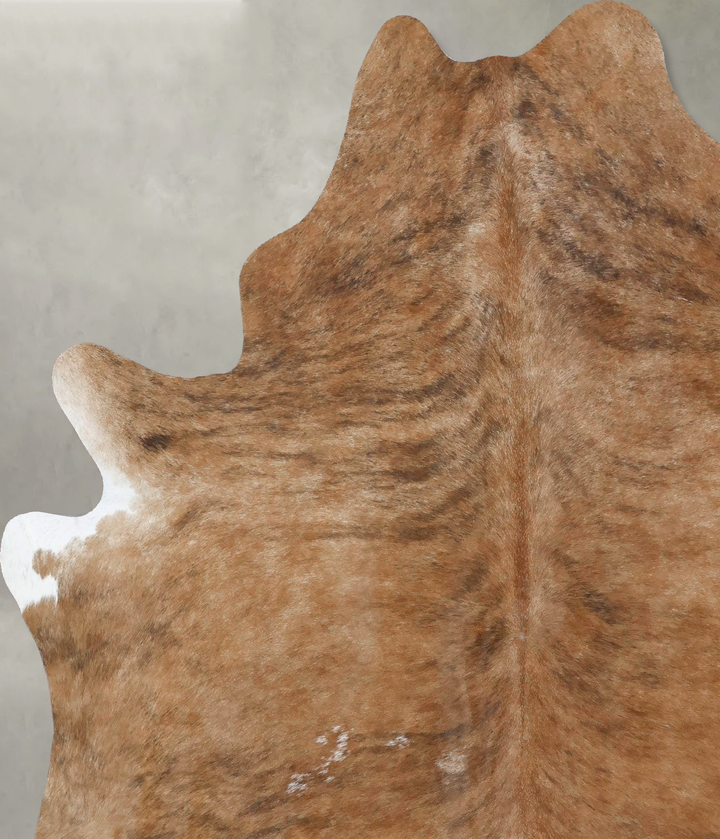 Medium Brindle X-Large Brazilian Cowhide Rug 7'6"H x 6'1"W #B17878 by Hudson Hides