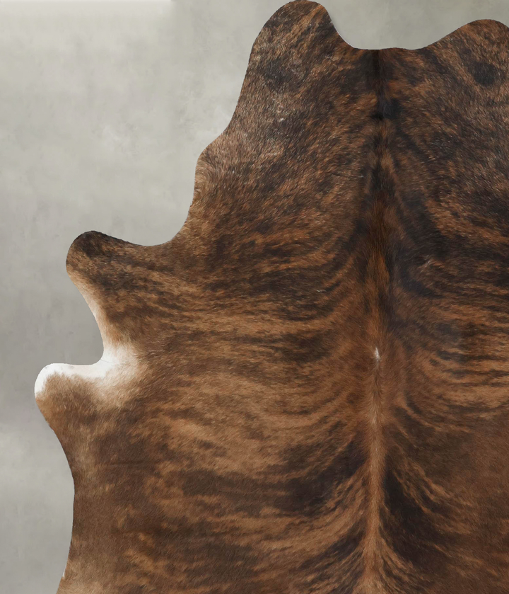 Medium Brindle X-Large Brazilian Cowhide Rug 7'8"H x 6'1"W #B17887 by Hudson Hides